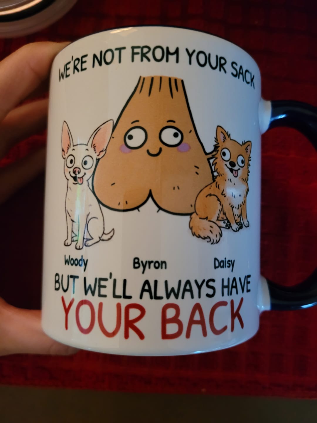 Customer photo review of Personalized Mug - Not from your Sack