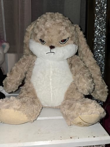 Customer photo review of Pompón™ El Conejito Gruñón Más Abrazable del Mundo