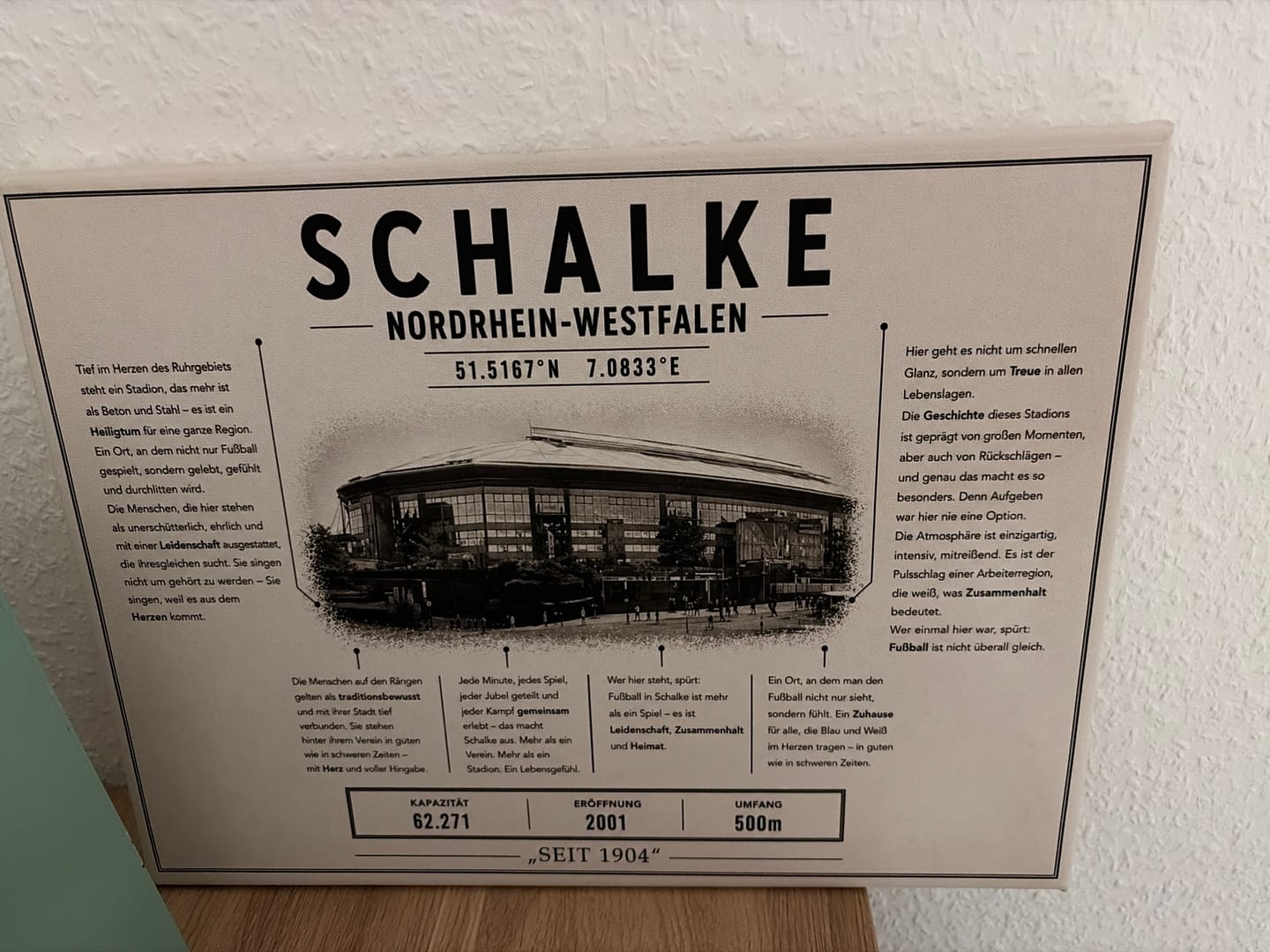Customer photo review of Schalke Stadion Leinwand