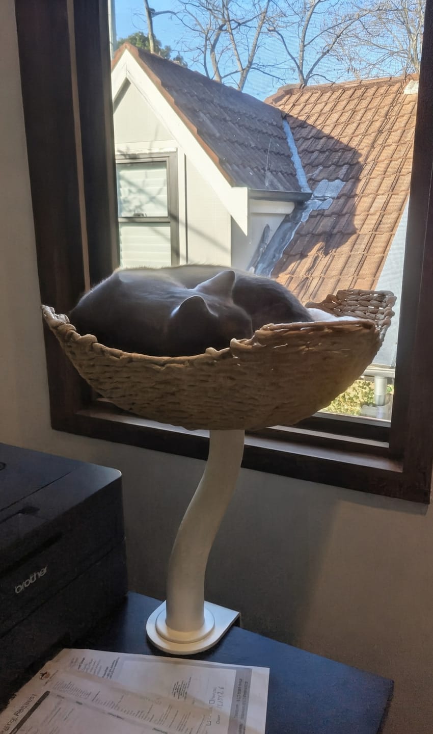 Customer photo review of Michu DeskMate Sustainable Desk-Mounted Side Companion Cat Tree