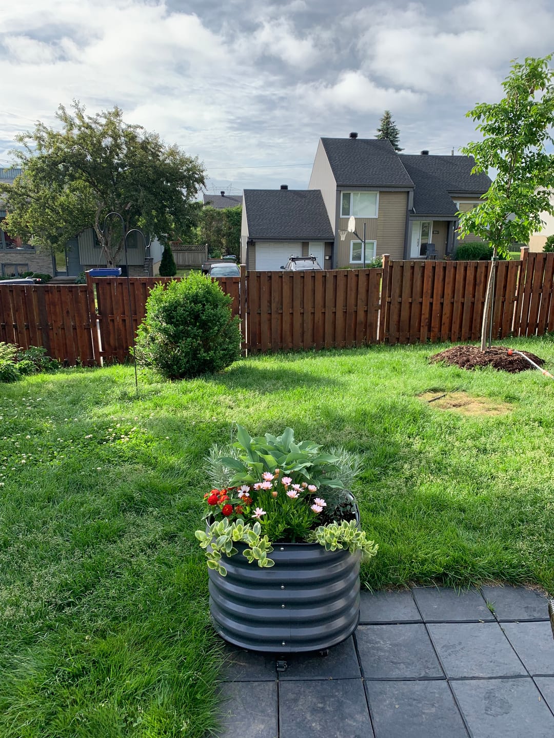 Customer photo review of 17" Tall Rolling Planter