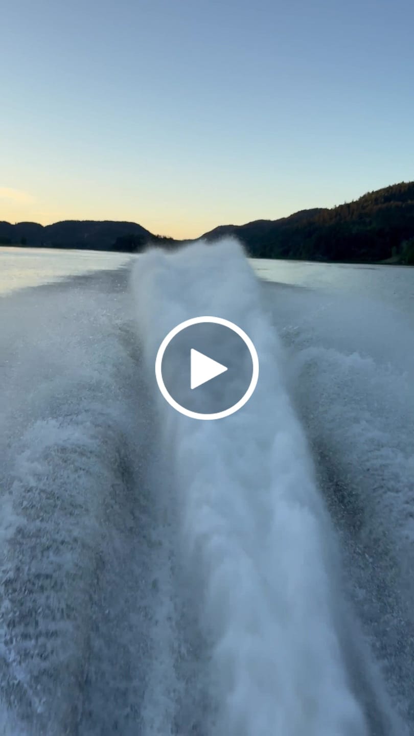 Customer video review of Priority Processing