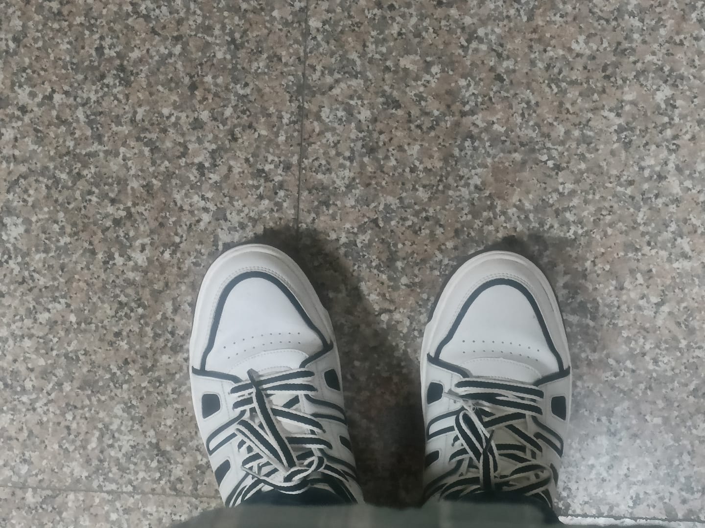 Customer photo review of Metrolites