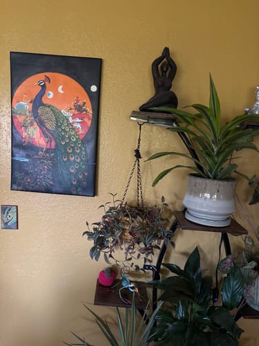 Customer photo review of Peacock Beneath the Moons