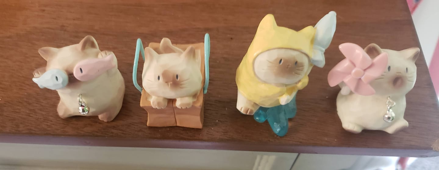 Customer photo review of Cat PAI Daily Companion Series Blind Box