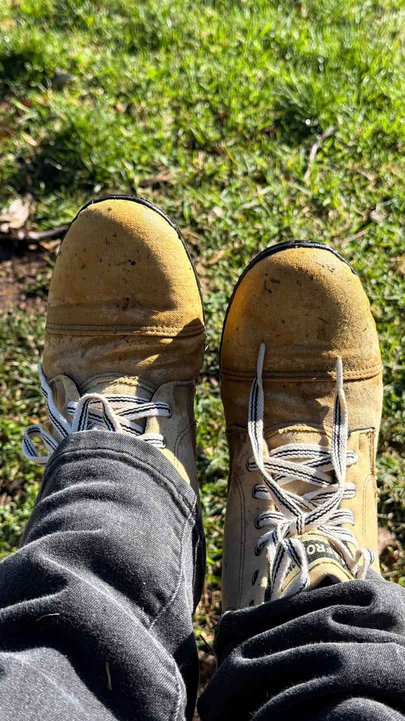 Customer photo review of Carriage Ankle Boots