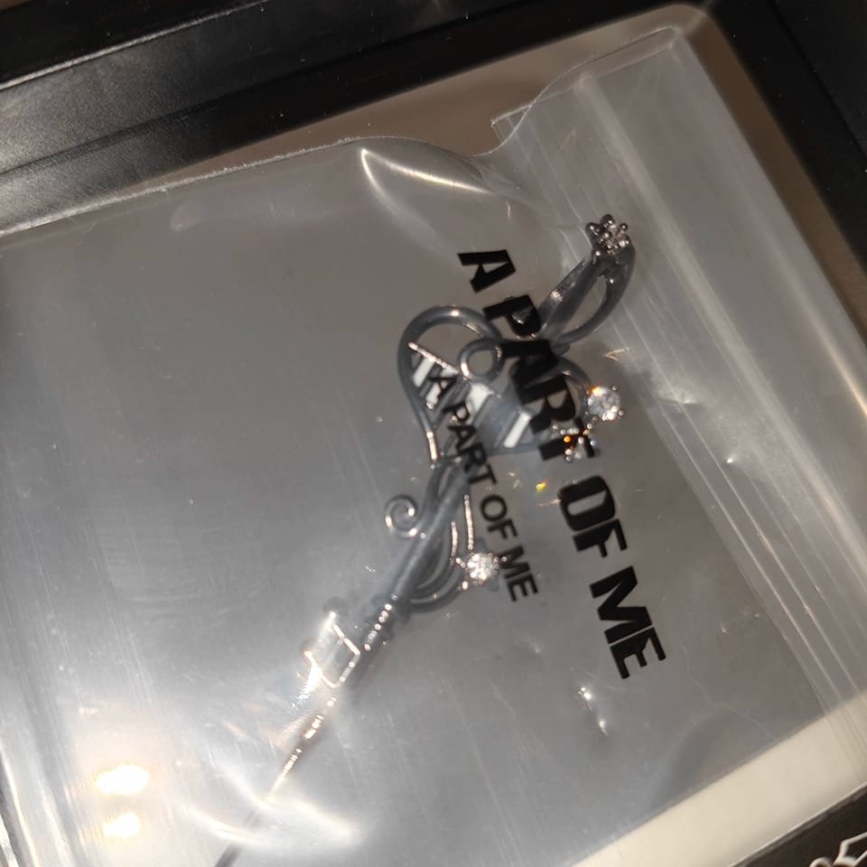 Customer photo review of Piano Keys Platinum Plating Piano Music Note Needle Piercing Earring™