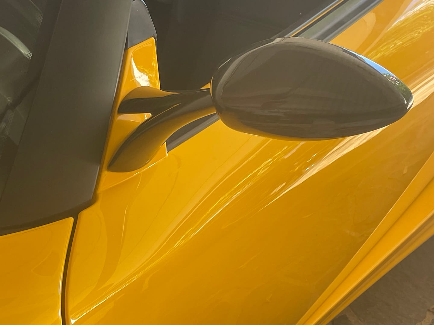 Customer photo review of Lotus Carbon Fibre Side Mirrors
