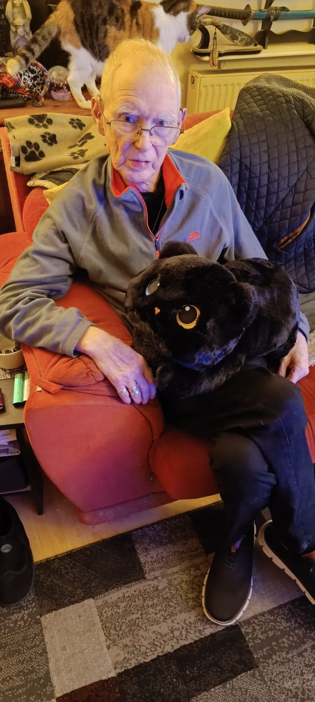 Customer photo review of MeWaii® Black Cat Weighted Stuffed Animal