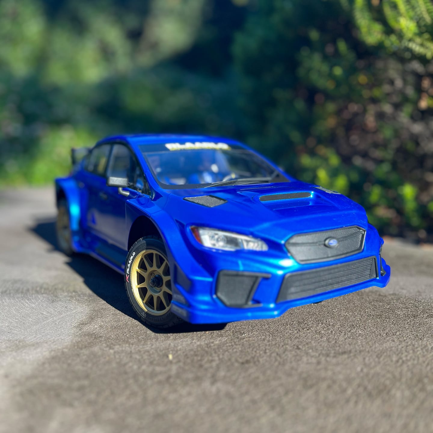 Customer photo review of Rlaarlo 1/10 Scale RTR 4WD Carbon Fiber Brushless RC Rally Car | XTS-S10