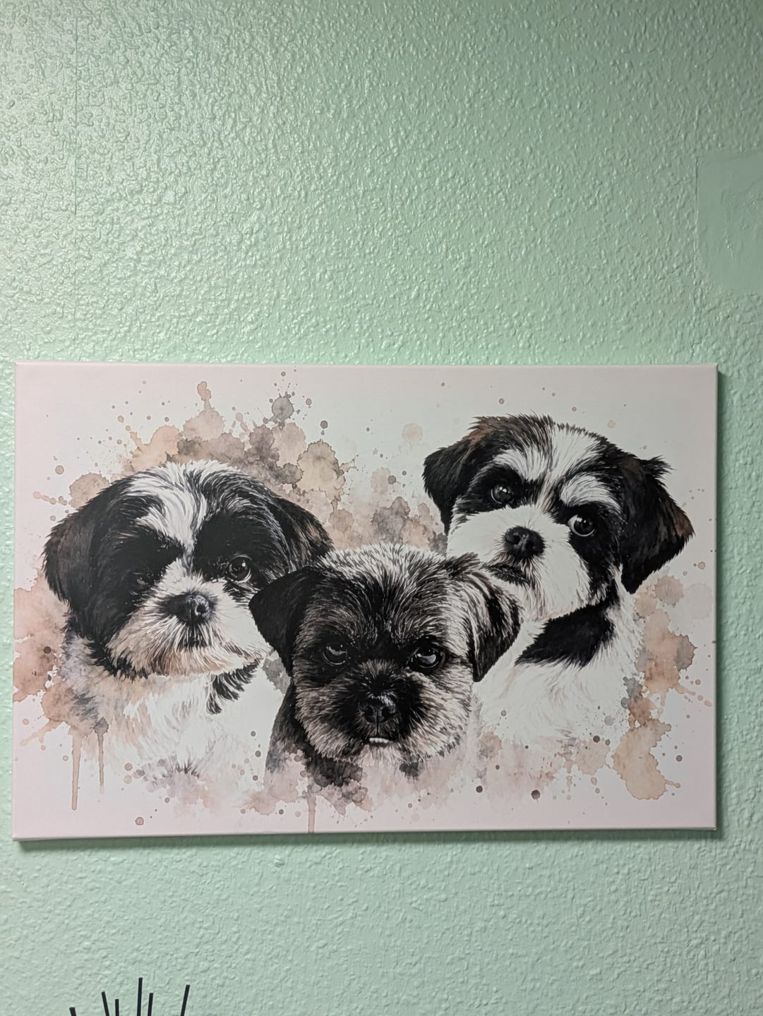 Customer photo review of Dein Haustier als Kunstwerk – mit Live-Vorschau, als Poster oder Leinwand