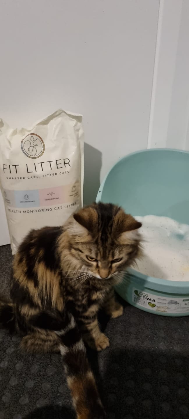 Customer photo review of Fit Litter