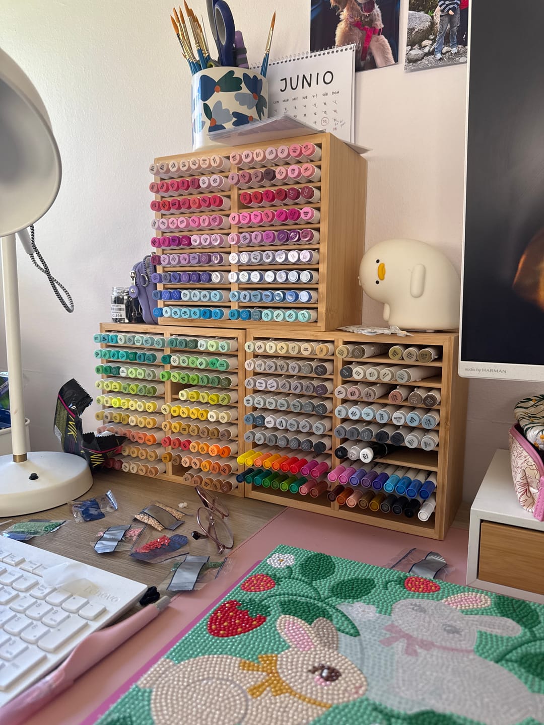 Customer photo review of Ohuhu - Organizador Bambú para 126 Marcadores