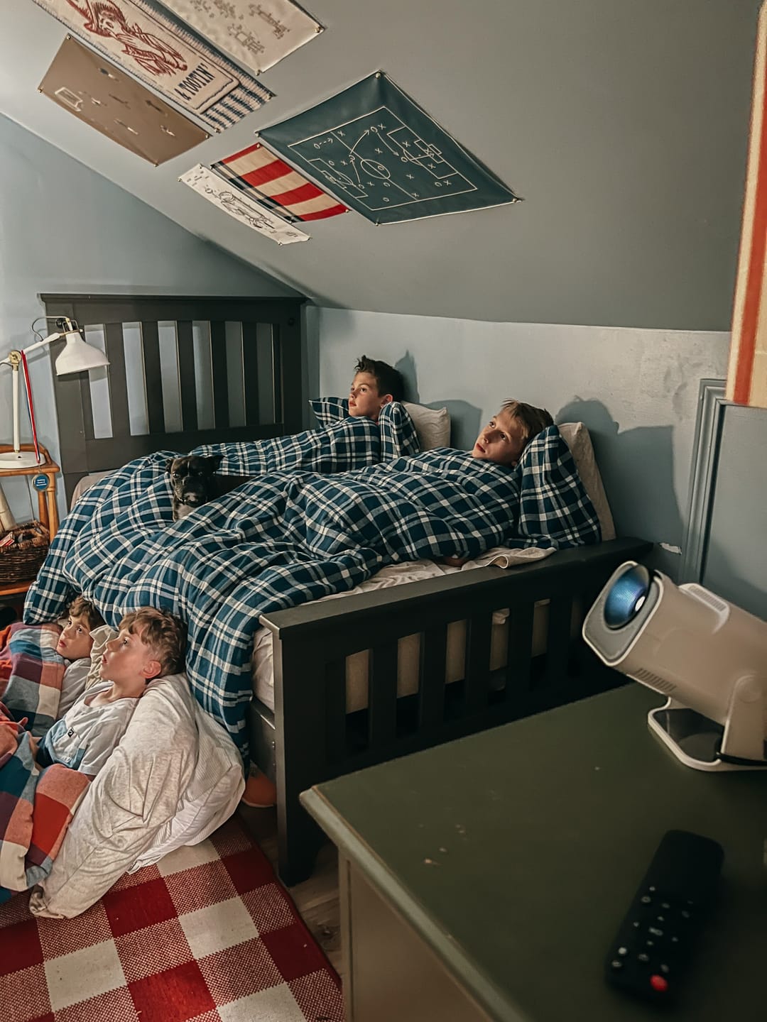 Customer photo review of Ozmotic Learning Projector