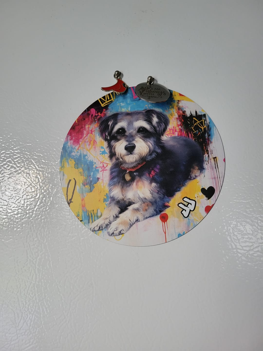 Customer photo review of Graffiti - Personalized Car Magnet