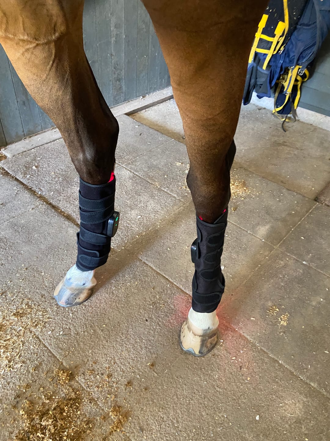 Customer photo review of EquiThera K2 — Rödljusdamask För Djup Läkning