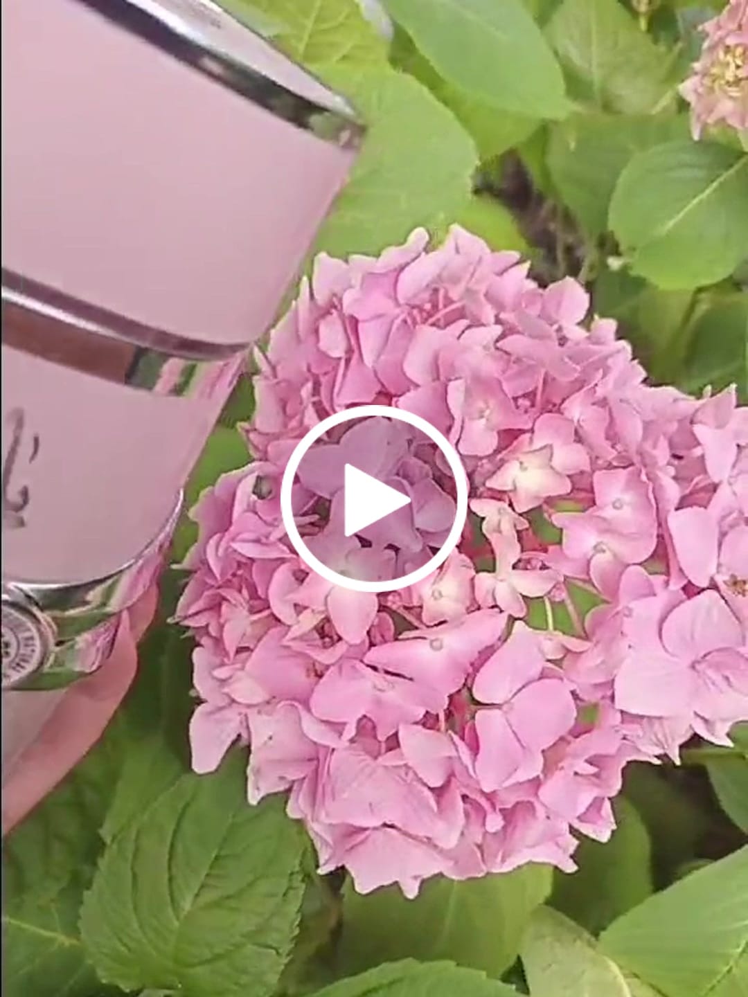Customer video review of YARA 100ML - LATTAFA