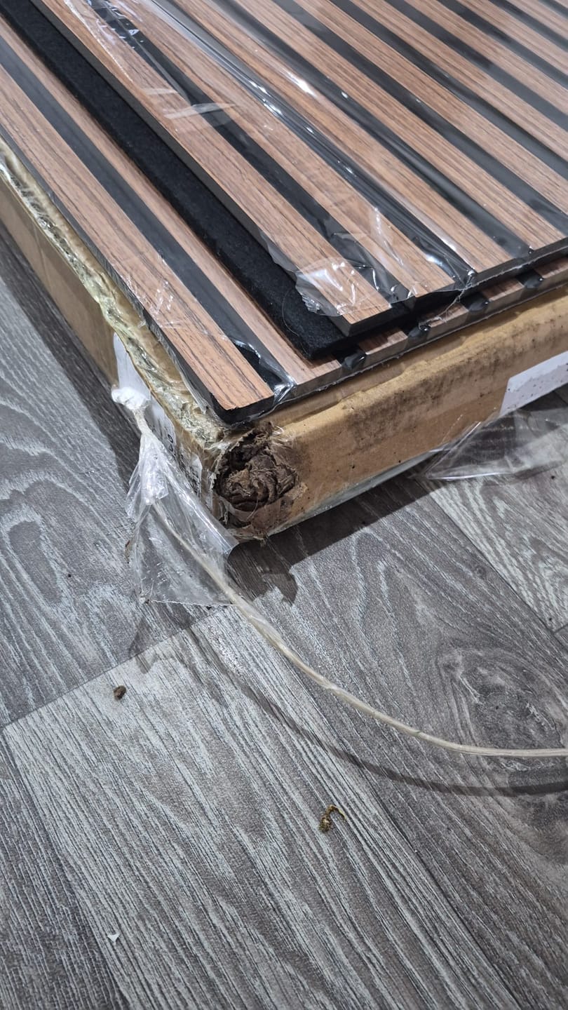 Customer photo review of Premium Acoustic Wall Panels - Teak Oak