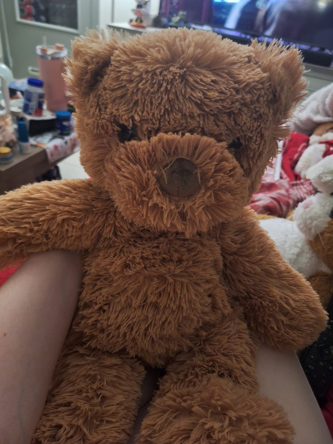 Customer photo review of Verzwaringsknuffel Teddy Beer 2,2 kg + Gratis Pittenzakje