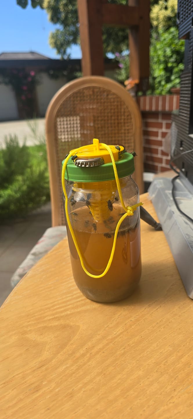 Customer photo review of HorseSafe LiquidTrap – Schluss mit Fliegenstress auf deinem Hof