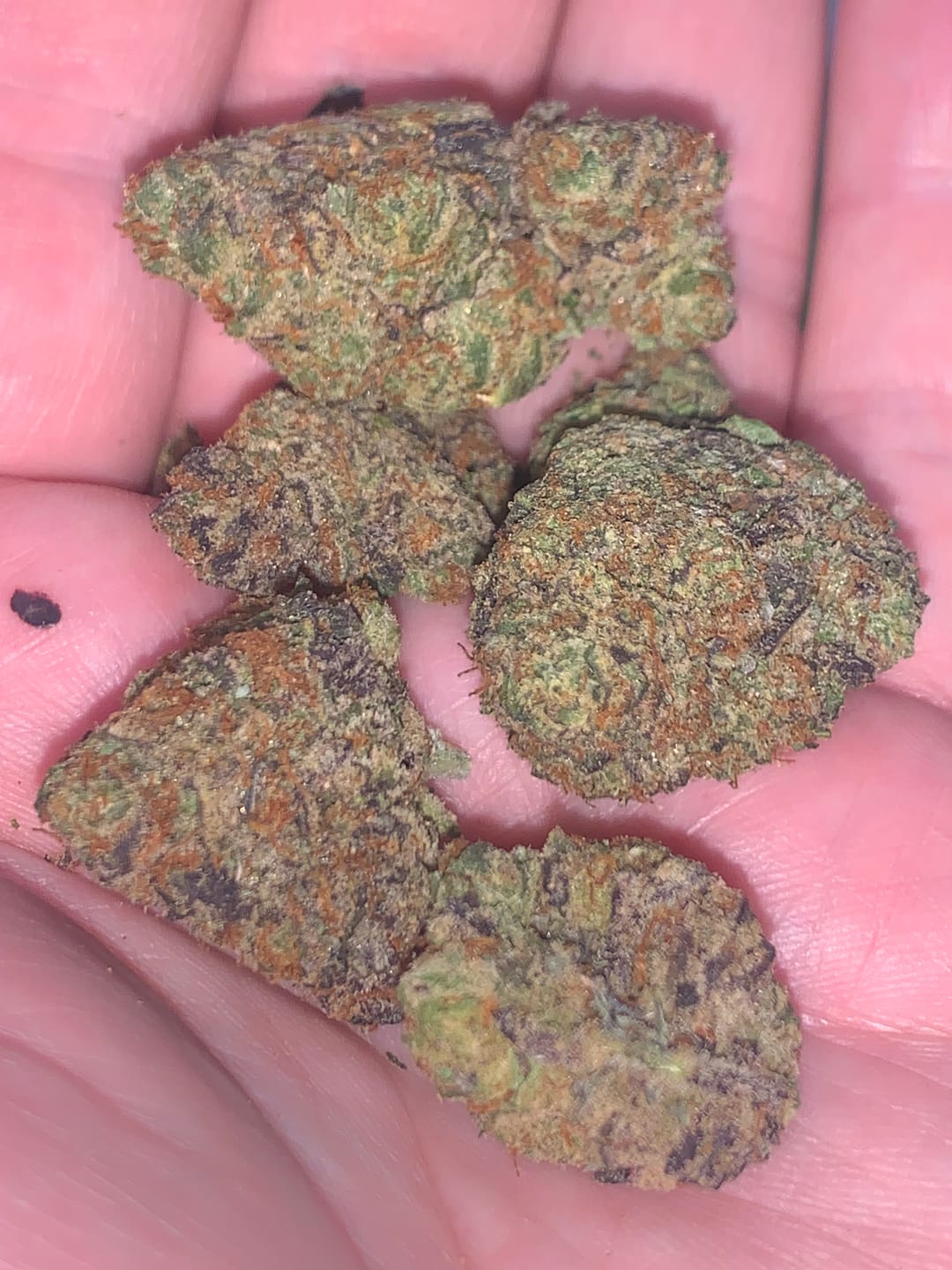 Customer photo review of Gelonade - Indoor - 4 Grams - Sativa