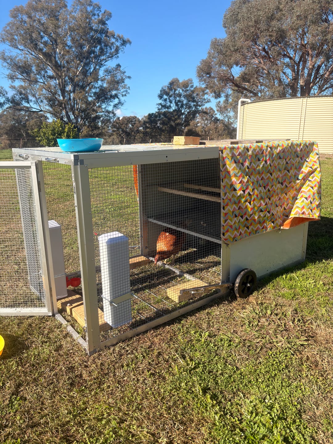 Customer photo review of Mobile Chicken Coop / Chicken Tractor