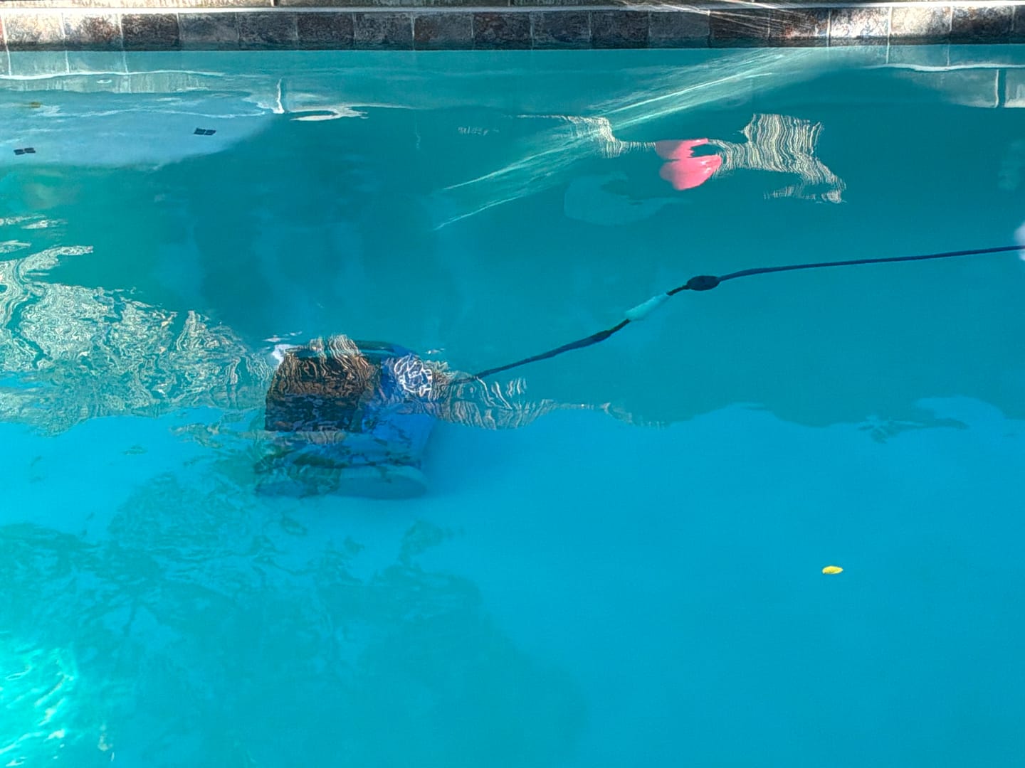 Customer photo review of Dolphin M550 Robotic Pool Cleaner Maytronics