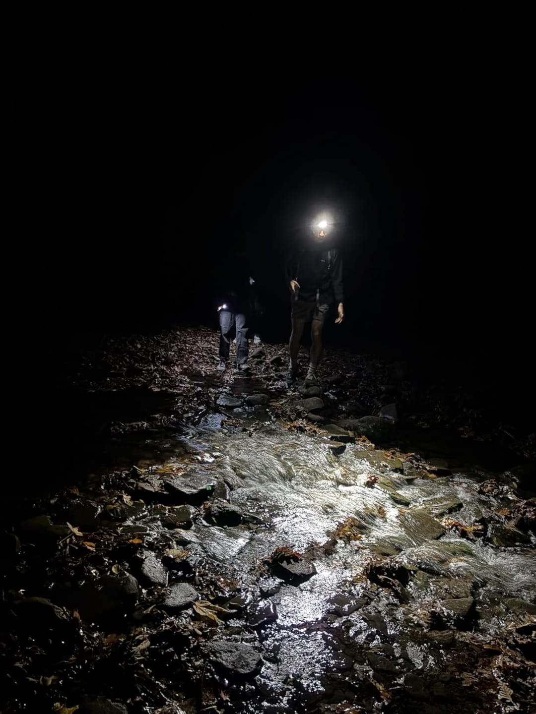 Customer photo review of NU25 MCT UL - 400 lumens