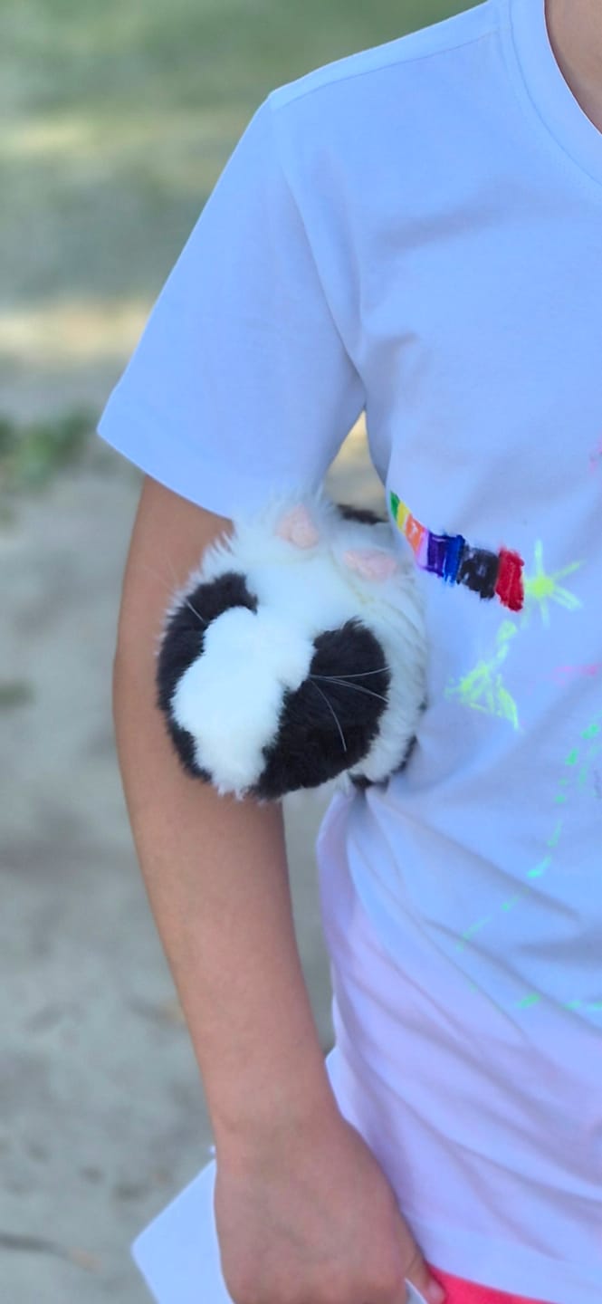 Customer photo review of Guinea Pig Soft Stuffed Plush Toy