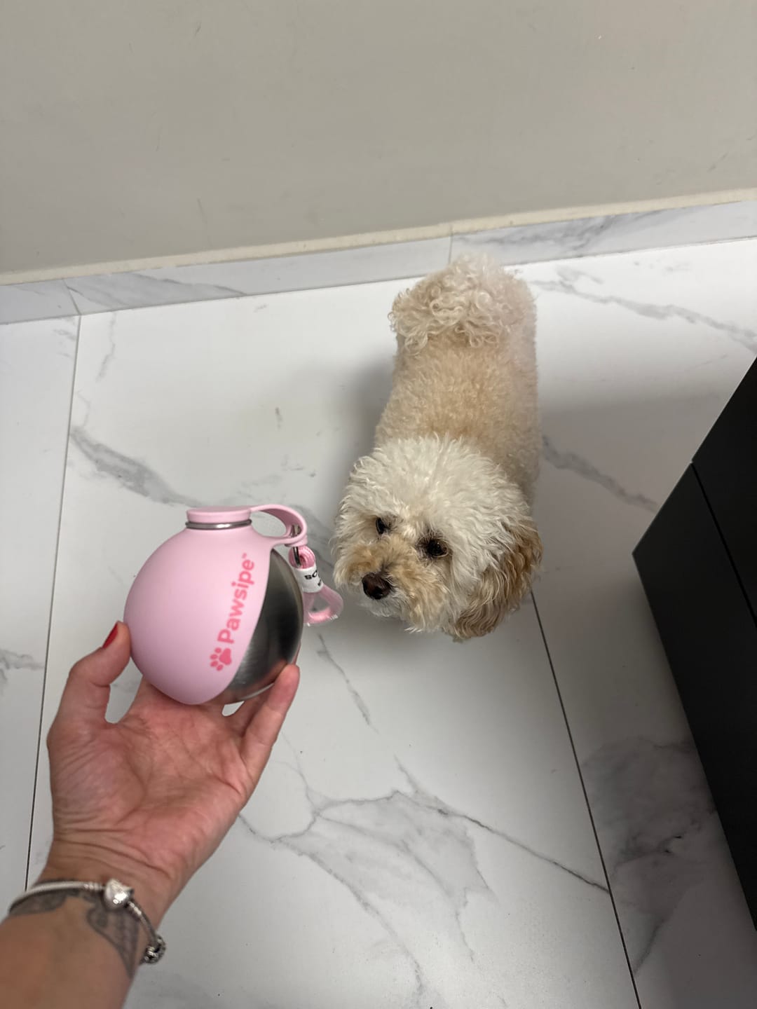 Customer photo review of PawSipe™ Çelik Köpek Yürüyüş Matarası