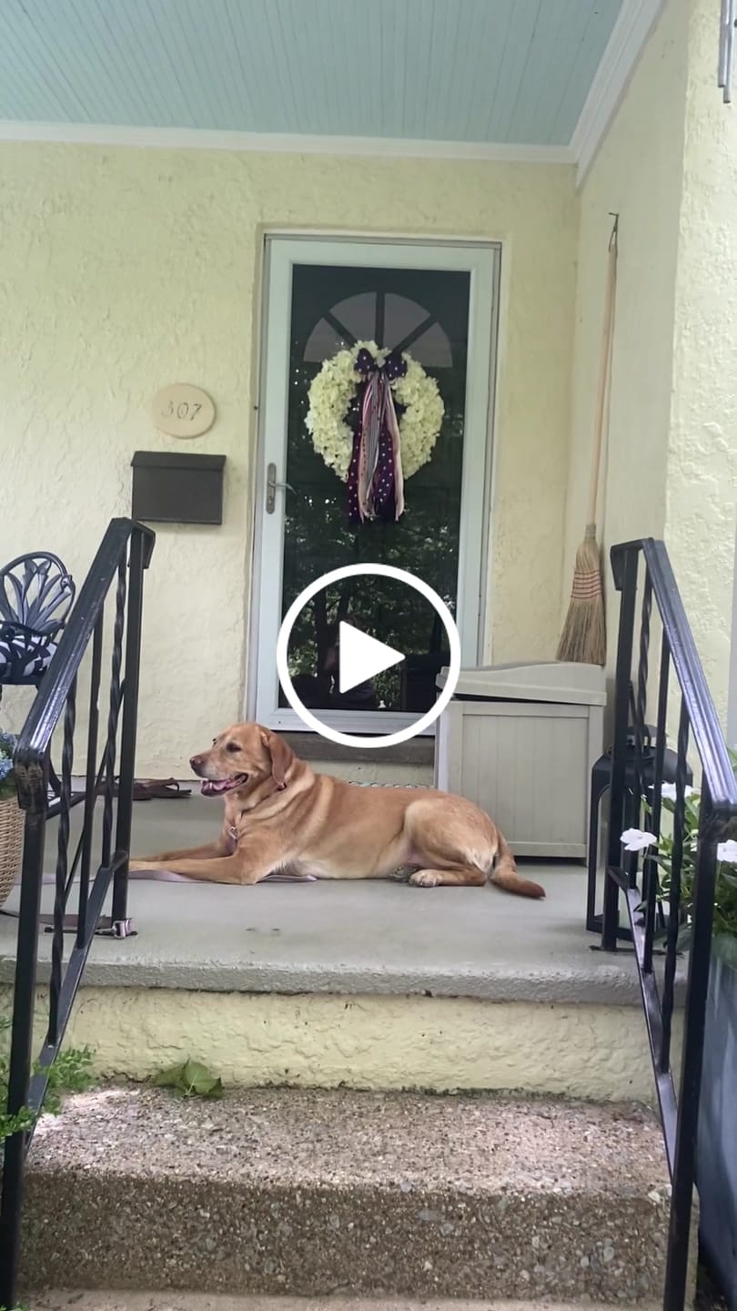 Customer video review of Old Glory Wreath Ribbon
