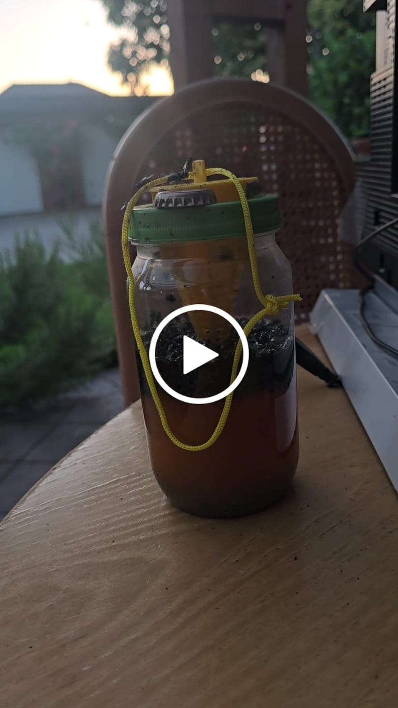 Customer video review of Liquid Trap Köder – Bio-Lockstoff für Fliegen & Bremsen