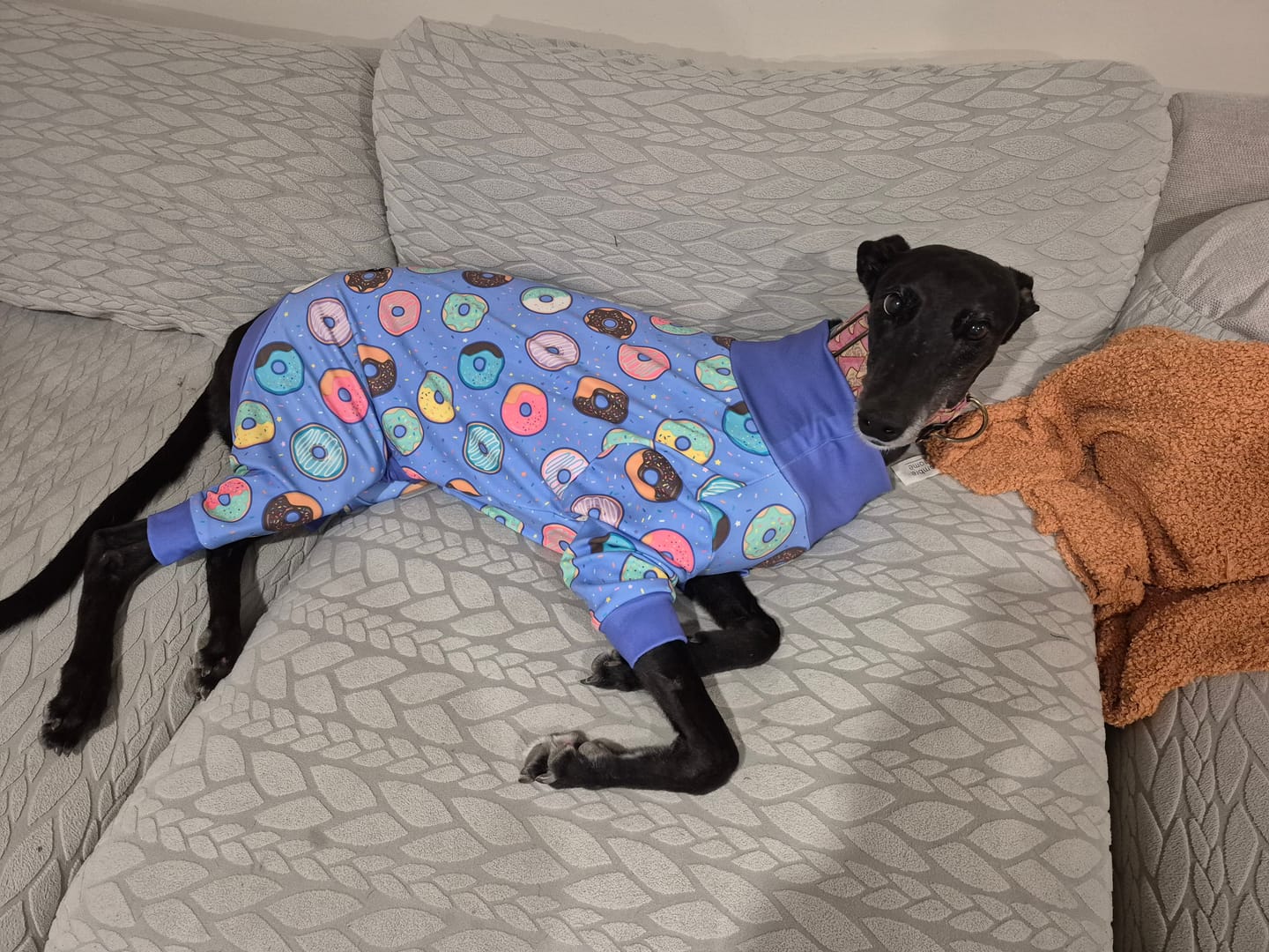 Customer photo review of Dog Pajama - Donuts