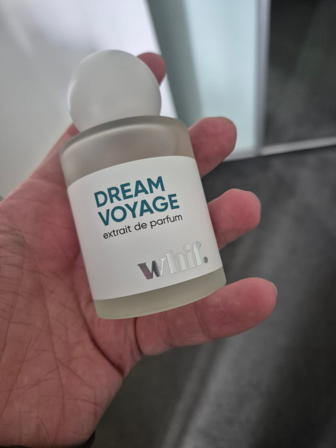 Customer photo review of Dream Voyage