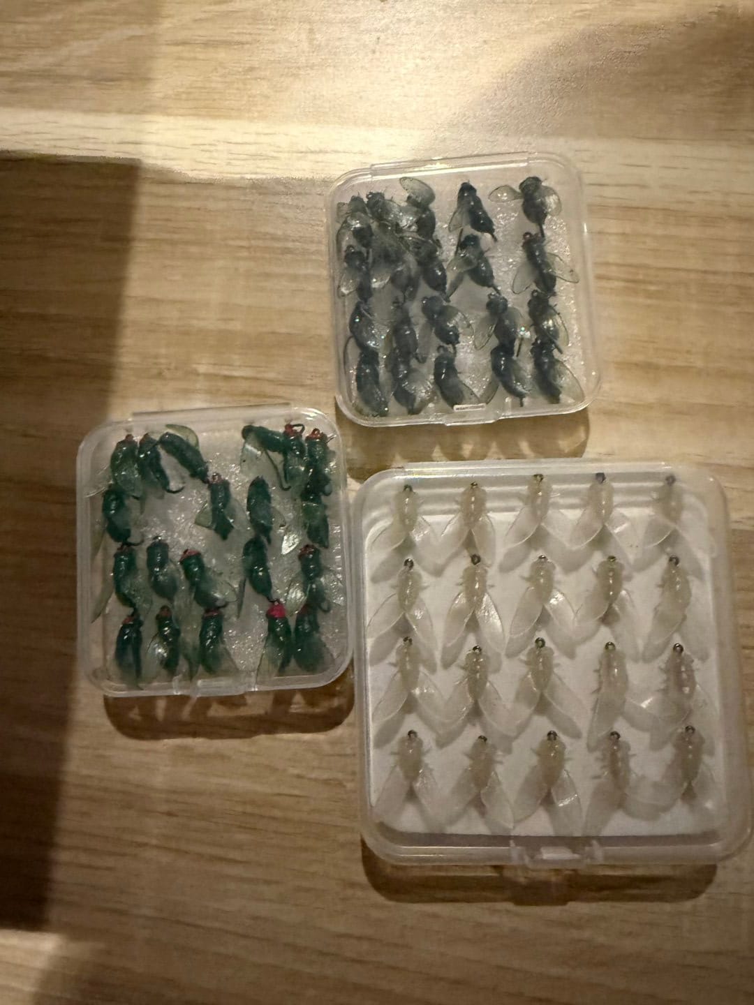 Customer photo review of Flugis™ 20-pack