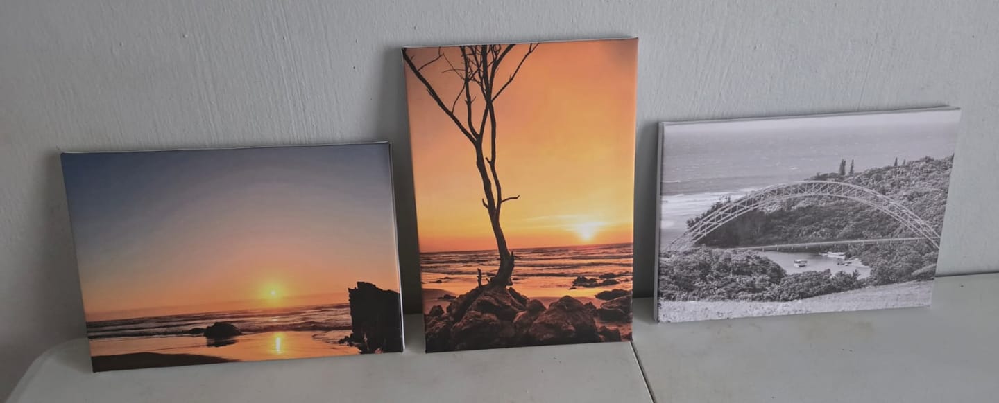 Customer photo review of 3 x A4 Canvas Combo