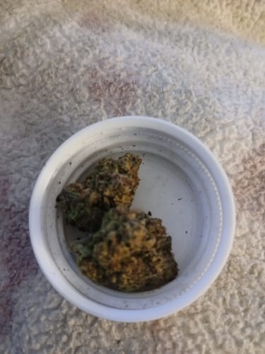 Blueberry Muffin - 28 Grams - Indica photo review