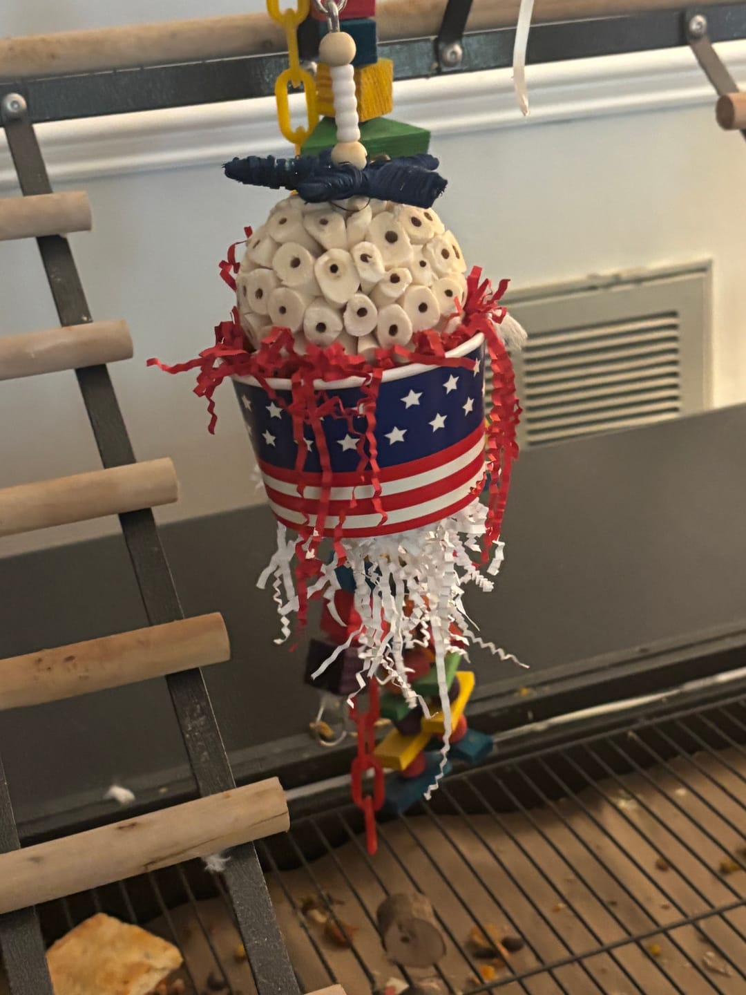 Customer photo review of 2767 Star Spangled Sola USA