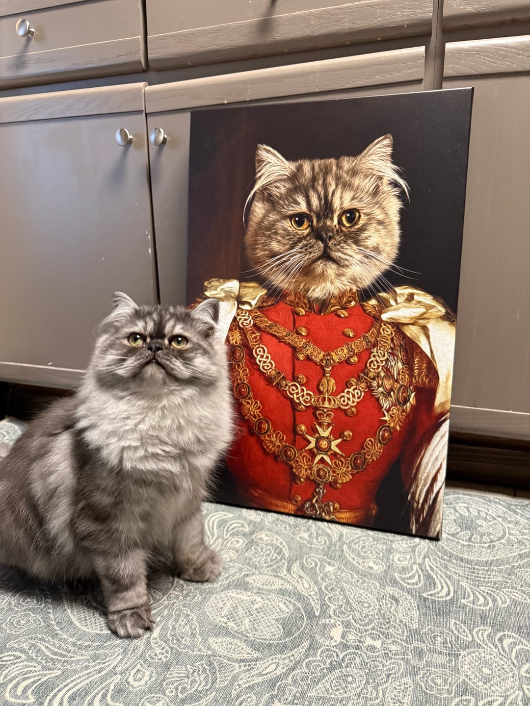 Customer photo review of The Commando Custom Pet Portrait Canvas