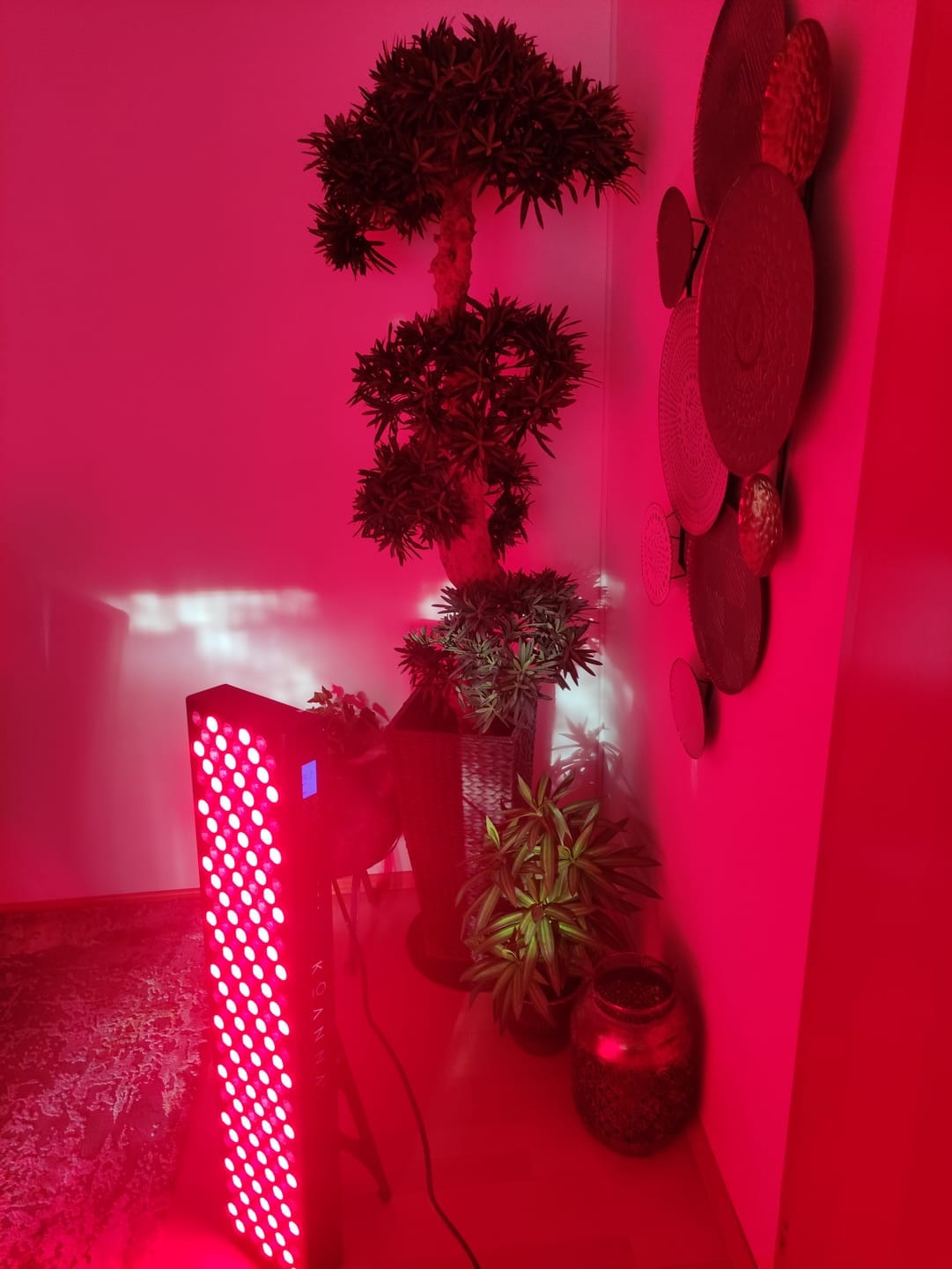Customer photo review of Koanna® Luma1000™ – Powerful, Mid-Size Red Light Therapy Panel