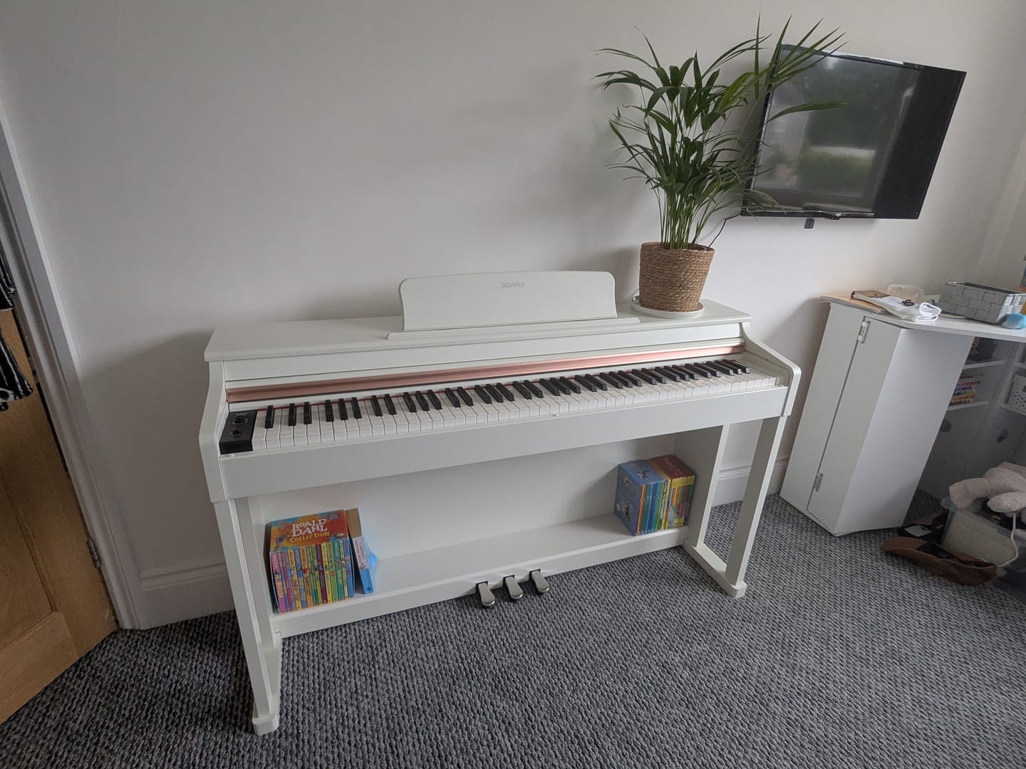 Customer photo review of Donner DDP-100 Digital Piano