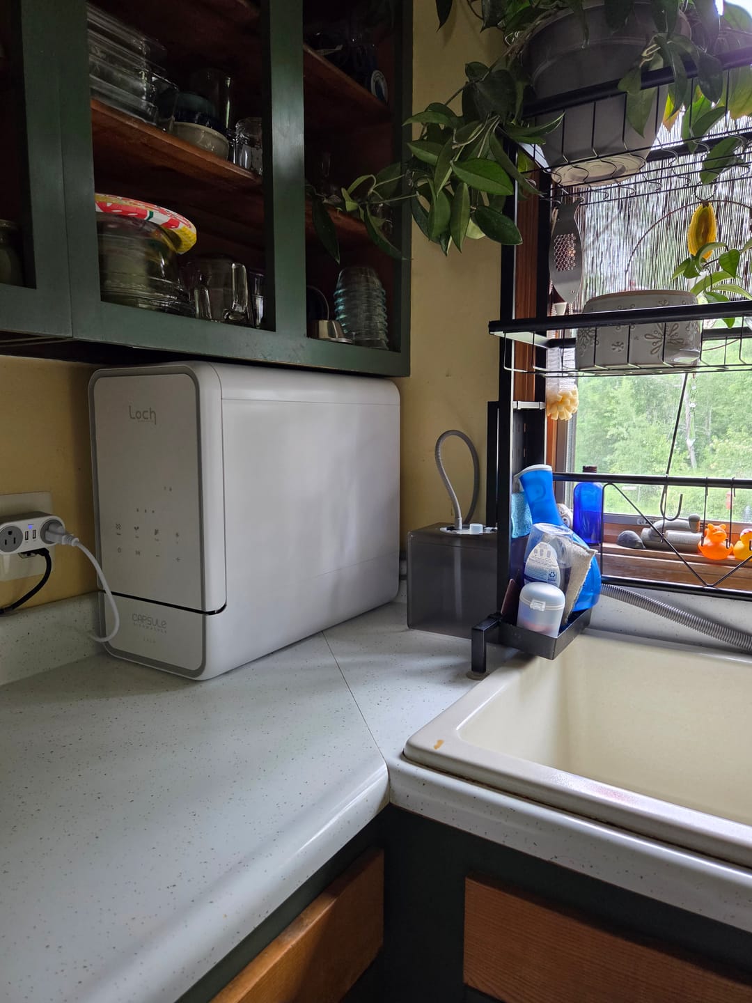 Customer photo review of Capsule Solo Dishwasher