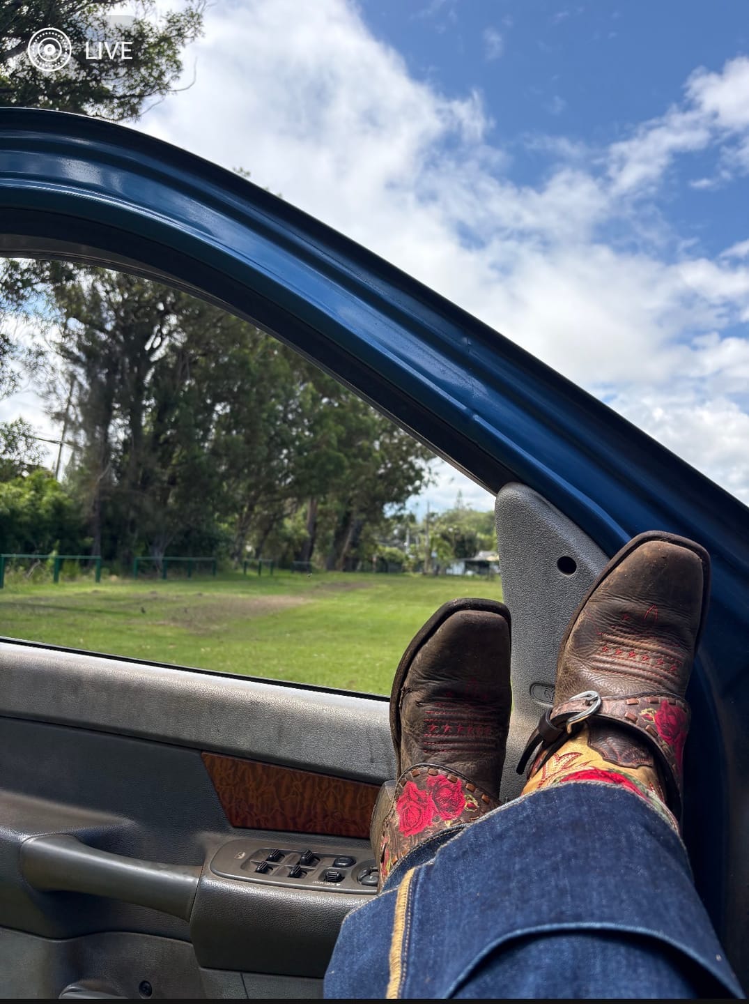 Customer photo review of The Vintage Visalia Jeans