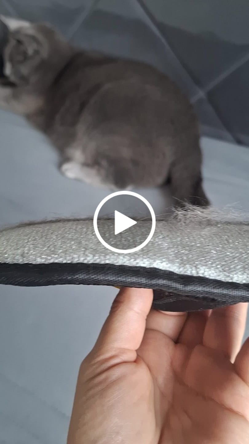 Customer video review of Rukavica za Uklanjanje Dlaka Kućnih Ljubimaca