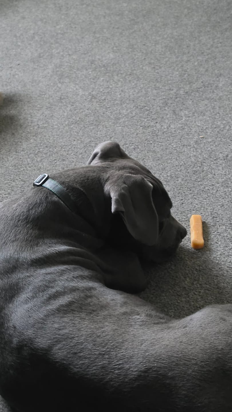 Customer photo review of Himmaleh Yak Chews For Dogs Subscription