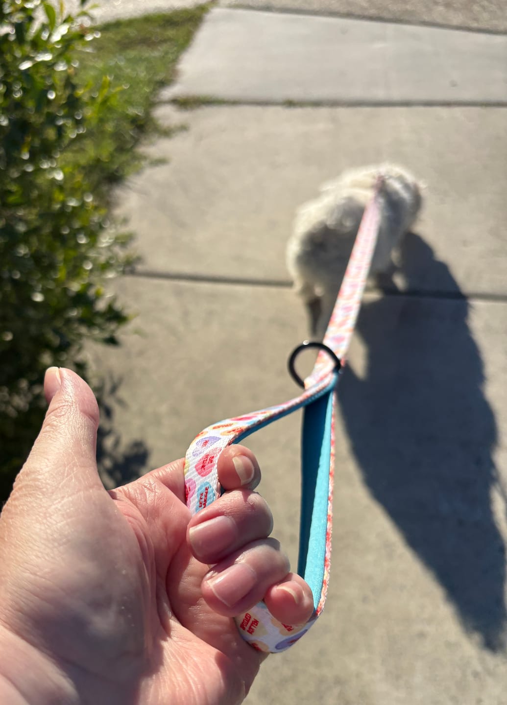 Customer photo review of LEASH - SWEET TALKER