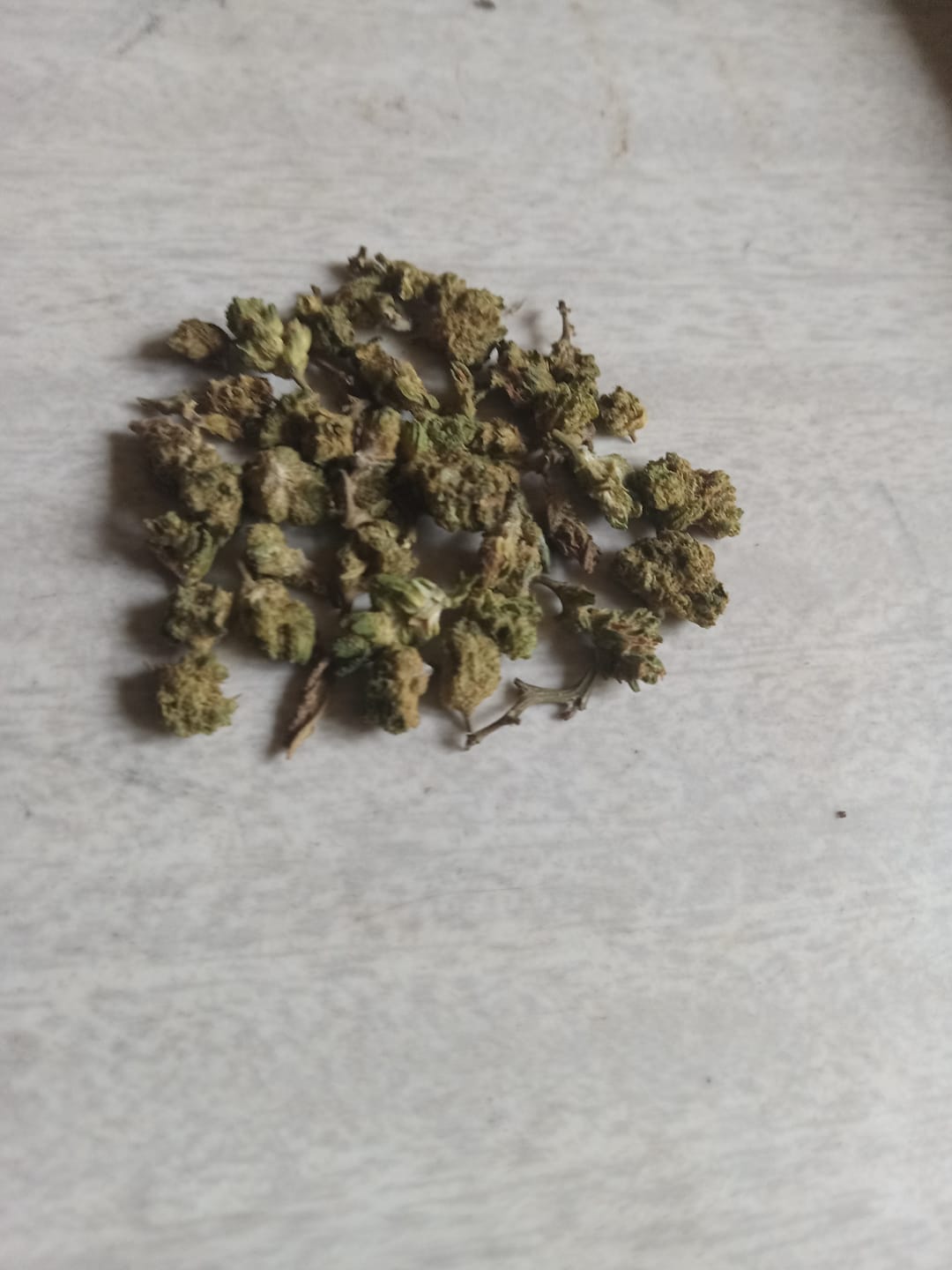 Customer photo review of Blackberry Kush - 28 Grams Littles - Indica