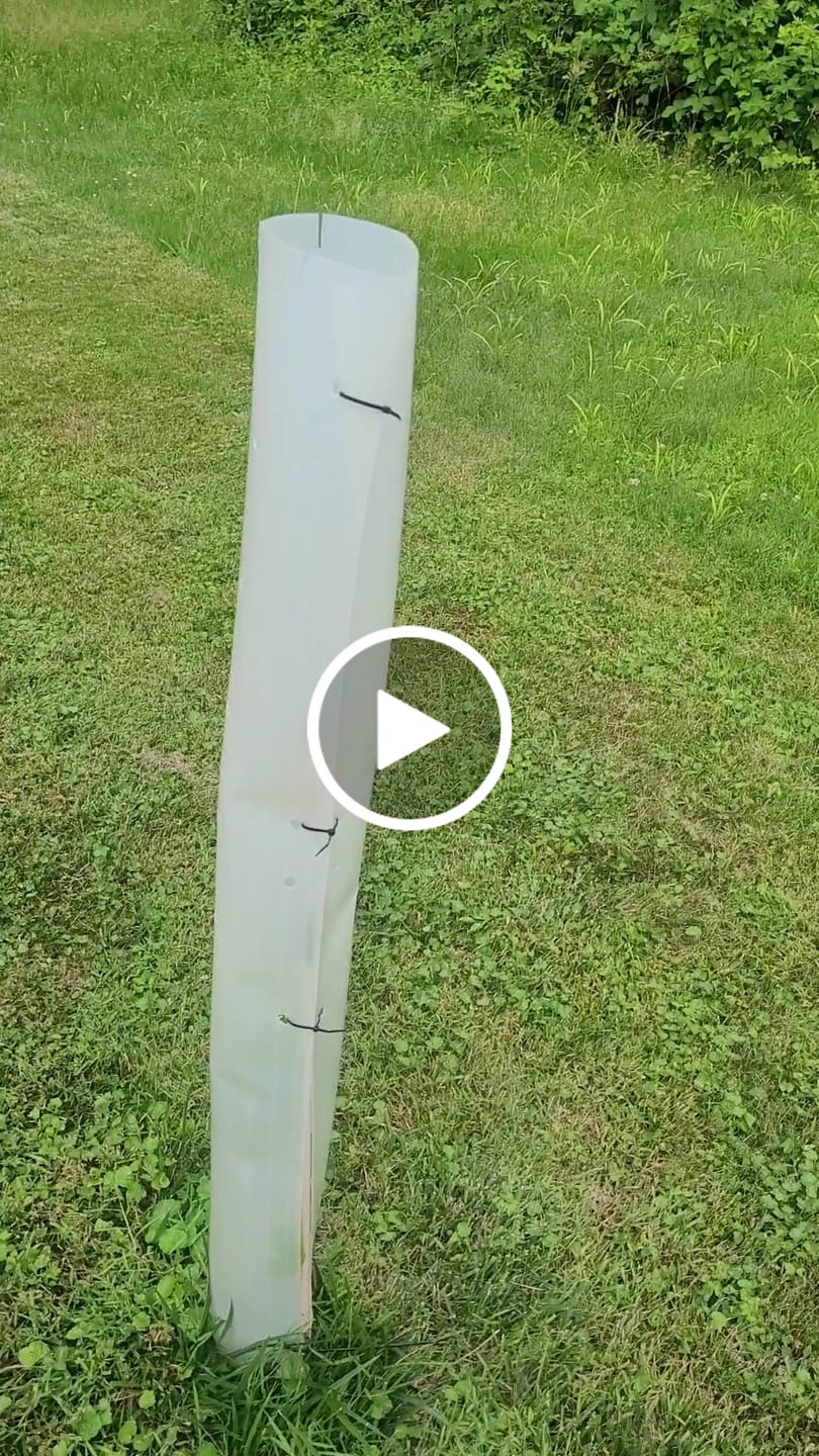 Customer video review of Tree Pro Grow Tubes