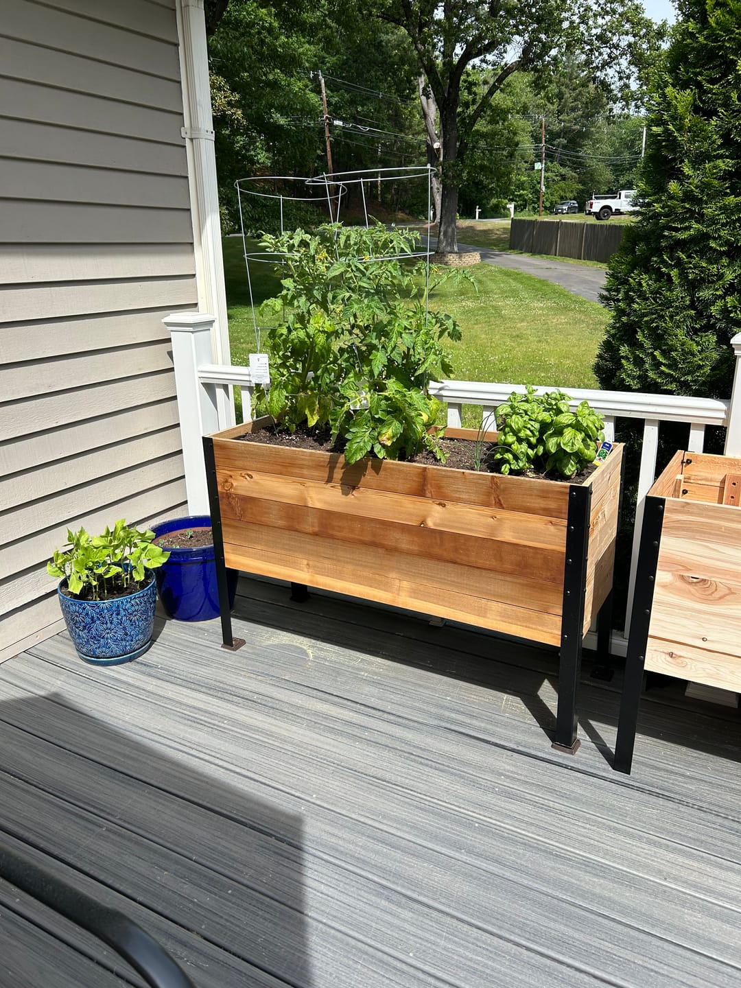 Customer photo review of 18" x 48" Raised Garden Bed - 30" TALL / Garden Grade