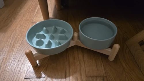Customer photo review of Ceramic Slow Feeder Bowl